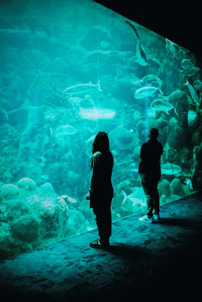 Hunter Macleod, Mesmerized, Digital photograph