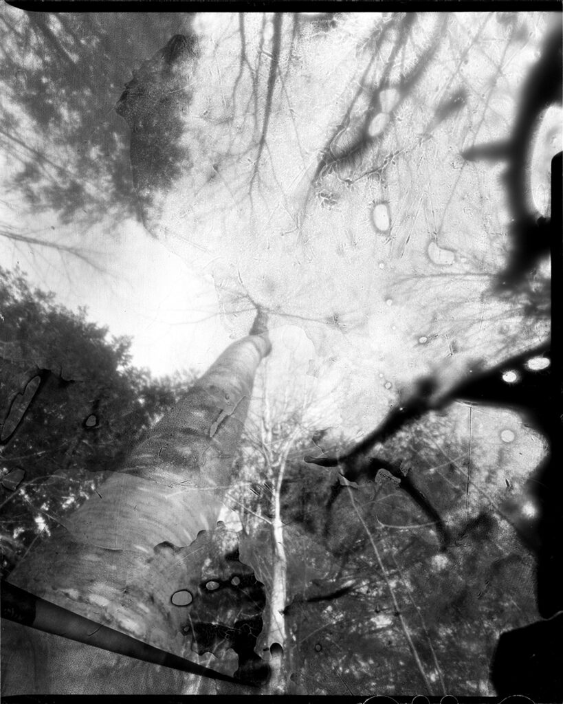 Julie Hamel, Known Unknown 10, Archival inkjet print from scanned large format film, 15 inches x 12 inches, 2022