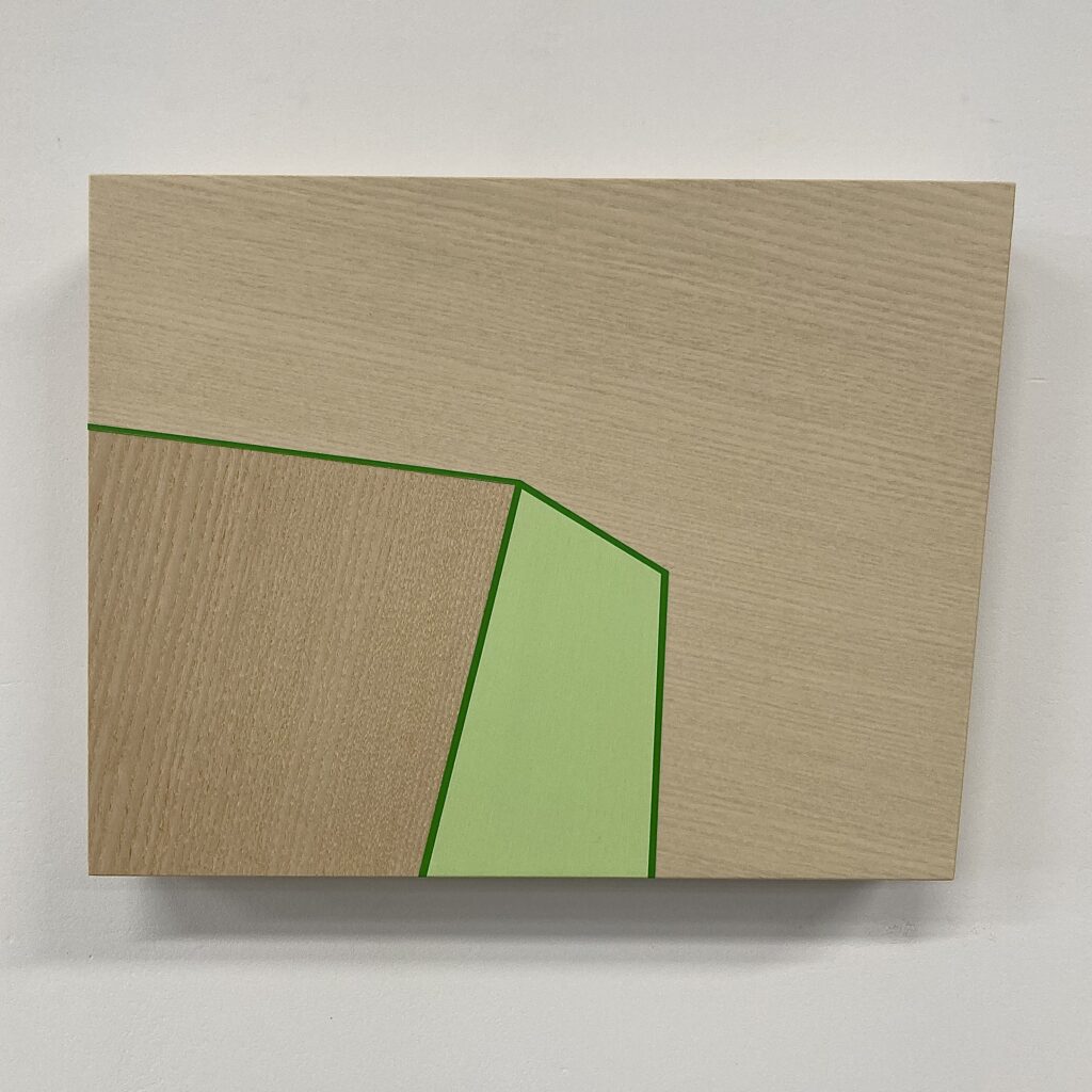 Trevor Toney, Green Aspect, Baltic birch plywood, ash veneer, acrylic paint, 9 x 12 x 2 inches, 2023